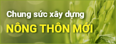 Chung sức xây dựng nông thôn mới